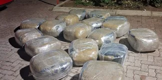 Three Arrested, Including SAPS Constable, in Limpopo Dagga Trafficking Bust