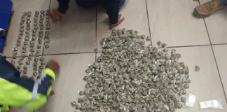 Man Arrested for Drug Possession, Drugs Valued at R16,000 Seized