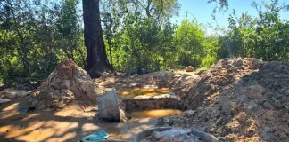 Two Foreign Nationals Arrested in Illegal Mining Operation Two Foreign Nationals Arrested in Illegal Mining Operation