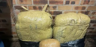 SAPS Arrests Foreign National After Seizing Dagga Worth Over R240,000 SAPS Arrests Foreign National After Seizing Dagga Worth Over R240,000