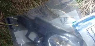 Suspect Arrested After Gunfire at Grazing Fields, Stolen Cattle Recovered Suspect Arrested After Gunfire at Grazing Fields, Stolen Cattle Recovered