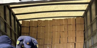 Two Suspects Arrested for Illicit Cigarettes and Bribery in Zamdela
