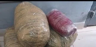 Five Arrested in Mahamba After Police Seize Dagga Worth Over R150,000 Five Arrested in Mahamba After Police Seize Dagga Worth Over R150,000