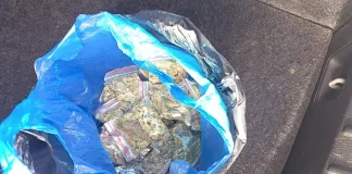 Police and CPF Seize R5,000 Worth of Dagga in Polokwane Police and CPF Seize R5,000 Worth of Dagga in Polokwane