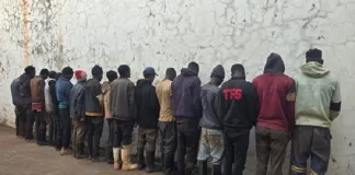 Joint Operation Leads to Arrest of 17 Suspects in Pilgrim’s Rest Illegal Mining Crackdown Joint Operation Leads to Arrest of 17 Suspects in Pilgrim's Rest Illegal Mining Crackdown