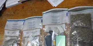 Man, 53, faces court after alleged drug smuggling attempt at Groenpunt prison