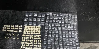 Public Order Police Arrest a Suspect for Gang-Related Activity
