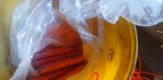 Two Suspects Arrested for Unlawful Possession of Explosives