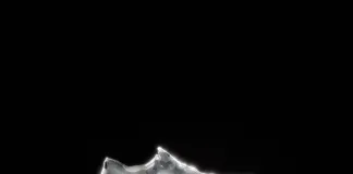 adidas Adizero Adios Pro 3: The Fastest, Lightest Marathon Shoe Ever, Available In Limited Quantities At the Sanlam Cape Town Marathon Expo