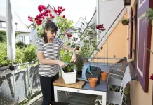 FROM GARDEN TO GIFT: 5 MEANINGFUL WAYS TO CELEBRATE YOUR MOM THIS MOTHER’S DAY