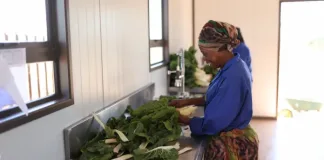 From Seed to Success: Growing a new generation of farmers