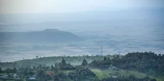 Earthbanc AB defeats legal claims brought by Kenyan contractor Green Planet Initiative 2050 Foundation