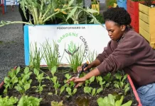 FoodForward SA Awarded Global Community Impact Grant from The Starbucks Foundation 