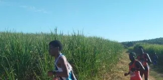 Crocworld Hosts Successful Cross Country Event