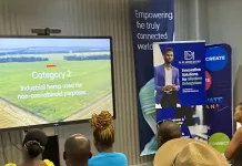 Reindustrializing South Africa: DM Associates Agrifund Leads Hemp-Driven Regenerative Agriculture Initiative. Reindustrializing South Africa: DM Associates Agrifund Leads Hemp-Driven Regenerative Agriculture Initiative.