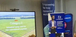 Reindustrializing South Africa: DM Associates Agrifund Leads Hemp-Driven Regenerative Agriculture Initiative. Reindustrializing South Africa: DM Associates Agrifund Leads Hemp-Driven Regenerative Agriculture Initiative.