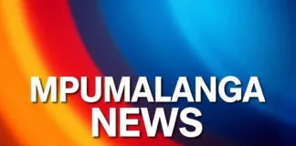 Lion Attack Leaves Mpumalanga Community in Fear Lion Attack Leaves Mpumalanga Community in Fear