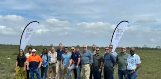 Parsons Power Park breaks ground in Nelson Mandela Bay, advancing South Africa’s renewable energy transition Parsons Power Park breaks ground in Nelson Mandela Bay, advancing South Africa’s renewable energy transition