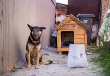 Help Build 67 Kennels of Hope for Mandela Day Help Build 67 Kennels of Hope for Mandela Day