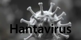 Third Fatality Confirmed as Hantavirus Strikes Cruise Ship Off West Africa