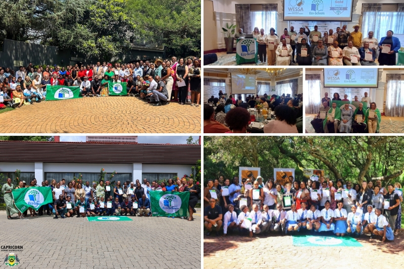 (clockwise from top) Gauteng, Free State, Eastern Cape and Limpopo recipients