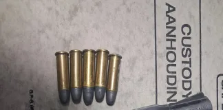 Woman Held After Bloemfontein Police Recover .38 Revolver at Vehicle Checkpoint