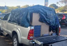 Nearly R2 Million in Illicit Cigarettes Seized in Mpumalanga; Two Arrested