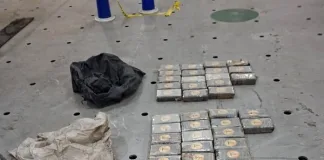 DPCI Seizes 90 Kilograms of Cocaine Worth R36 Million at Durban Harbour