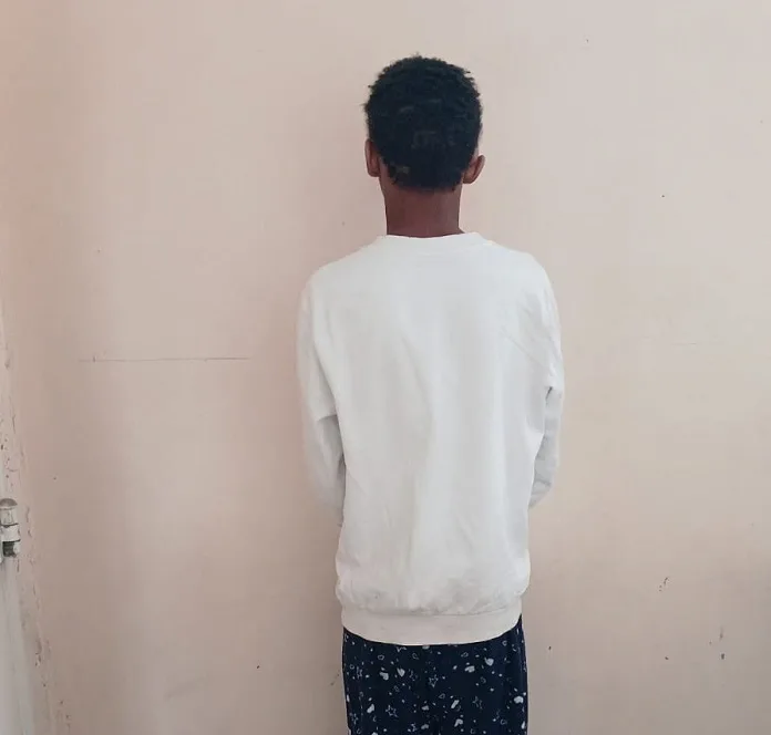 719234104_1429864565831846_906033051993977329_n 21-Year-Old Arrested for Poaching Endangered Plants at Northern Cape Nature Reserve