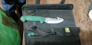 Farm Burglary Suspect Remanded in Custody Following Arrest