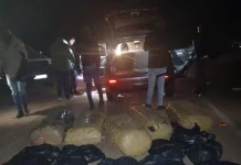 Zimbabwean National Remanded in Custody Following R300,000 Dagga Bust in Giyani Zimbabwean National Remanded in Custody Following R300,000 Dagga Bust in Giyani