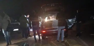 Zimbabwean National Remanded in Custody Following R300,000 Dagga Bust in Giyani Zimbabwean National Remanded in Custody Following R300,000 Dagga Bust in Giyani