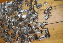 Wildlife Crime Foiled: 150 Live Venomous Scorpions Confiscated at Cape Town International Airport Wildlife Crime Foiled: 150 Live Venomous Scorpions Confiscated at Cape Town International Airport