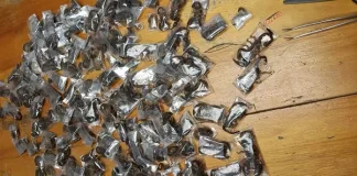 Wildlife Crime Foiled: 150 Live Venomous Scorpions Confiscated at Cape Town International Airport
