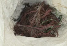 Suspect Arrested in Garies as Police Recover R16,200 in Suspected Stolen Copper Cables