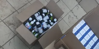 K9 Unit Recovers Syrup Stockpile After Suspect Unleashes Dogs K9 Unit Recovers Syrup Stockpile After Suspect Unleashes Dogs