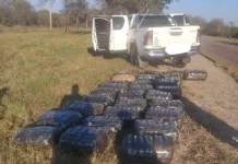 Dagga Bust: Authorities Confiscate R1.57 Million Consignment Dagga Bust: Authorities Confiscate R1.57 Million Consignment