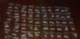 Fisantekraal Drug Bust: Two Arrested After Durbanville Police Seize Tik