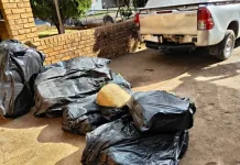 Massive Dagga Seizure in Sekhukhune: Limpopo Police Intercept R500,000 Load