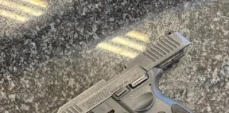 Vleisboom Arrest: Male Foreign National Faces Court Over Unlicensed Firearm Vleisboom Arrest: Male Foreign National Faces Court Over Unlicensed Firearm