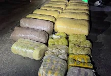 Massive R3 Million Dagga Seizure: Six Arrested in Hoedspruit Drug Bust Massive R3 Million Dagga Seizure: Six Arrested in Hoedspruit Drug Bust