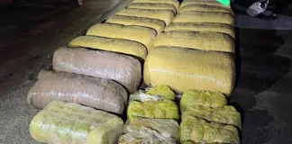 Massive R3 Million Dagga Seizure: Six Arrested in Hoedspruit Drug Bust Massive R3 Million Dagga Seizure: Six Arrested in Hoedspruit Drug Bust