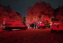 Nina Park Burn Victim in Serious Condition After Extensive Injuries Prompt Major Emergency Response Nina Park Burn Victim in Serious Condition After Extensive Injuries Prompt Major Emergency Response