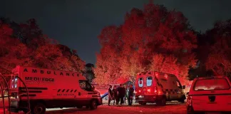 Nina Park Burn Victim in Serious Condition After Extensive Injuries Prompt Major Emergency Response Nina Park Burn Victim in Serious Condition After Extensive Injuries Prompt Major Emergency Response