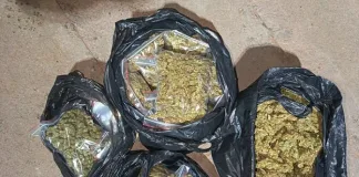 Upington Drug Bust: Two Arrested Following 2.3kg Dagga Seizure on N10 Highway