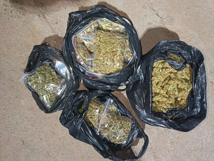 728685470_1270041395208620_1134565119327111034_n Upington Drug Bust: Two Arrested Following 2.3kg Dagga Seizure on N10 Highway