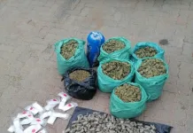 Three Arrested for Dagga Possession in Tumahole