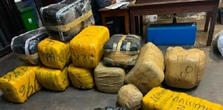 Dagga Bust: Johannesburg Police Seize R150,000 Haul Dagga Bust: Johannesburg Police Seize R150,000 Haul