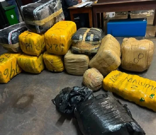 Dagga Bust: Johannesburg Police Seize R150,000 Haul