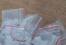 Orlando Drug Arrest: Intelligence-Led Operation Leads to Suspected Crystal Meth Seizure